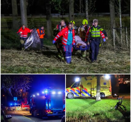 MYSTERIEUS ONDERZOEK: Vrouw Overleden Na Val In Water In Maasland, Rollator Langs De Oever Gevonden – De Ware Oorzaak Is Schokkend