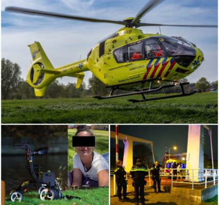 Vrouw overlijdt na reddingsactie in Maasland: twee jongens haalden haar uit het water, maar hulp kwam te laat