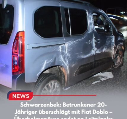Schwarzenbek: Betrunkener 20-Jähriger überschlägt mit Fiat Doblo – Überholmanöver endet an Leitplanke