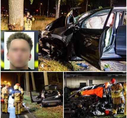 Automobilist (29) botst tegen boom in Helmond: auto vliegt in brand, man door omstanders gered