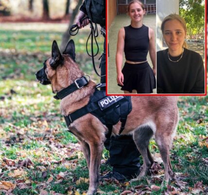 Seit vier Wochen spurlos vermisst: Wo ist Pauline Mann, die 25-jährige Studentin aus Freiburg? Die Polizei bittet dringend um Hinweise.