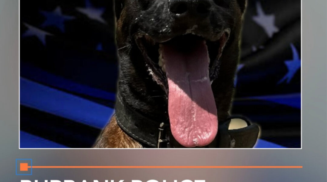 Burbank Police Department K9 shot, killed on 5 Freeway