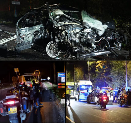 Waarom Ramde een 28-Jaarige Tijdens een Politieachtervolging Met Volle Vaart een Boom in Oosterhout?