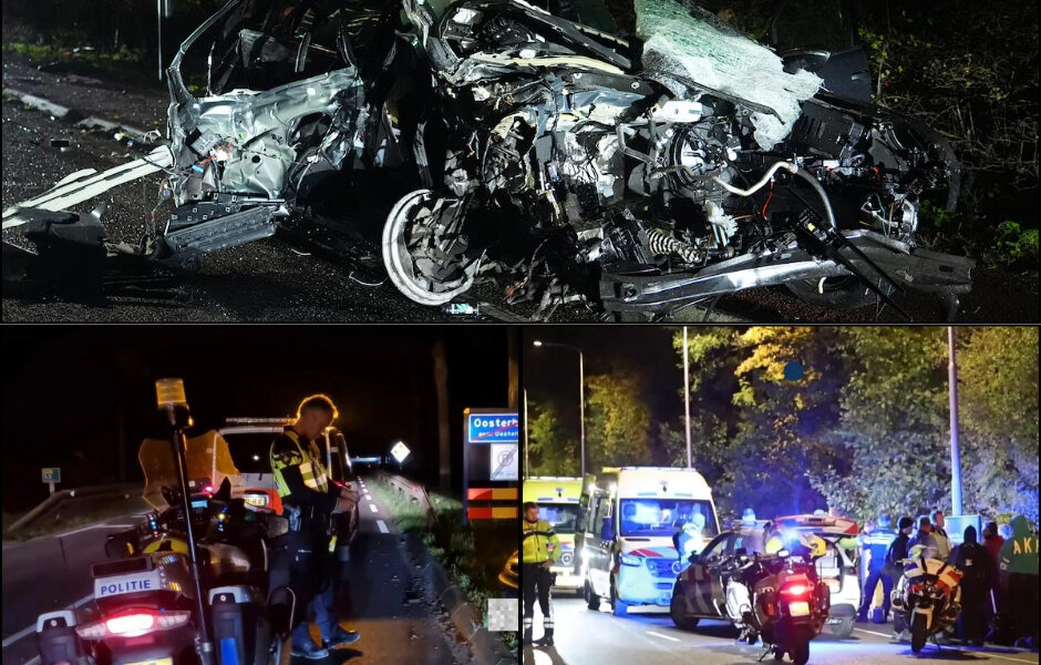 Waarom Ramde een 28-Jaarige Tijdens een Politieachtervolging Met Volle Vaart een Boom in Oosterhout?