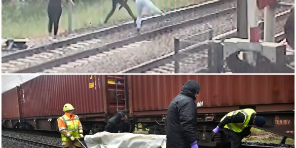 DE DOOD LURKT: Gemiddeld 17 Keer Per Dag Wagen Nederlanders Hun Leven Op Het Spoor – Machinist: "Als Je Ze Ziet, Ben Je Eigenlijk Al Te Laat!"