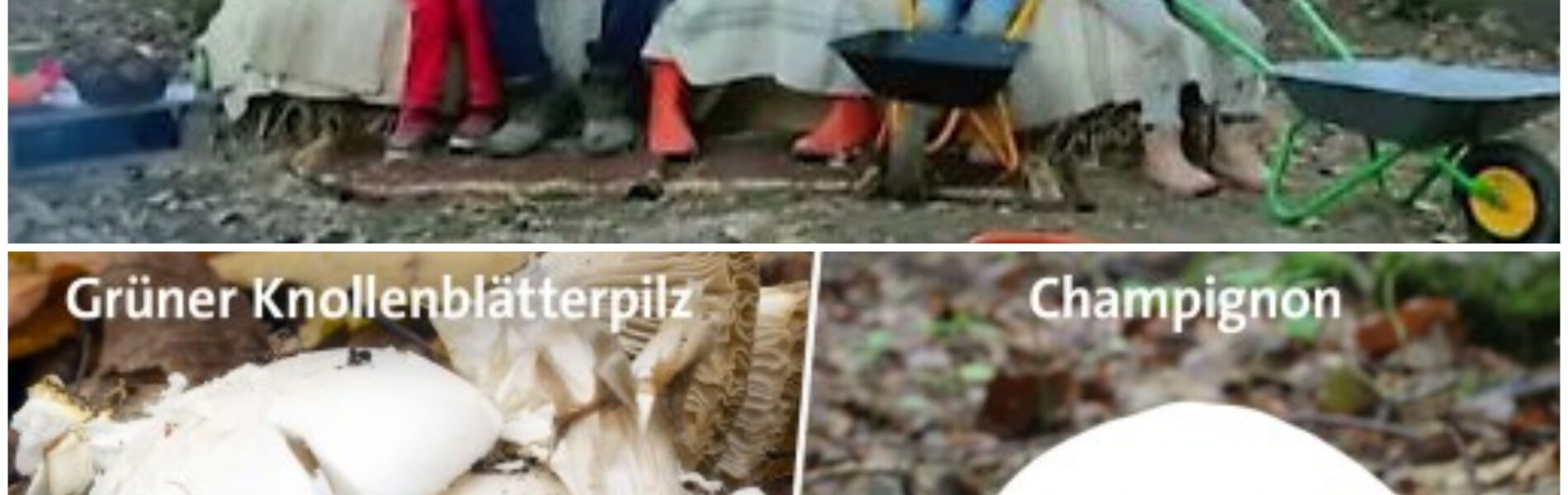 Familie nach Pilzvergiftung im Krankenhaus – Jugendamt nimmt Kindern weg: Eltern kämpfen verzweifelt um Ruckgabe