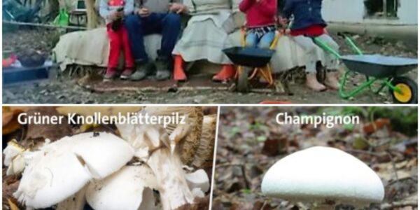 Familie nach Pilzvergiftung im Krankenhaus – Jugendamt nimmt Kindern weg: Eltern kämpfen verzweifelt um Ruckgabe