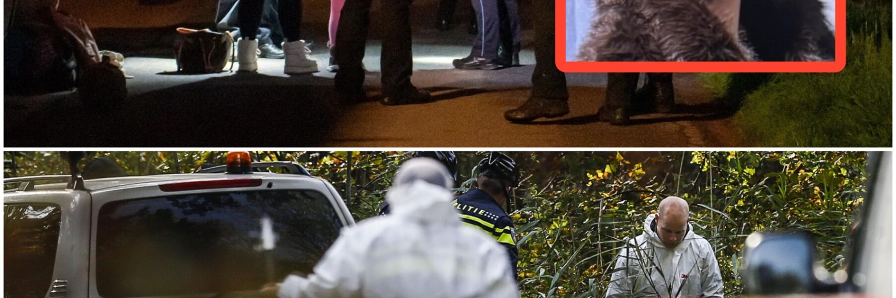 💔 Spurlos verschwunden: Emilie Wiens (24) – plötzlich weg, keine Hinweise, nur Angst, Rätsel und ein Gefuhl, dass etwas Furchtbares passiert ist… 💔