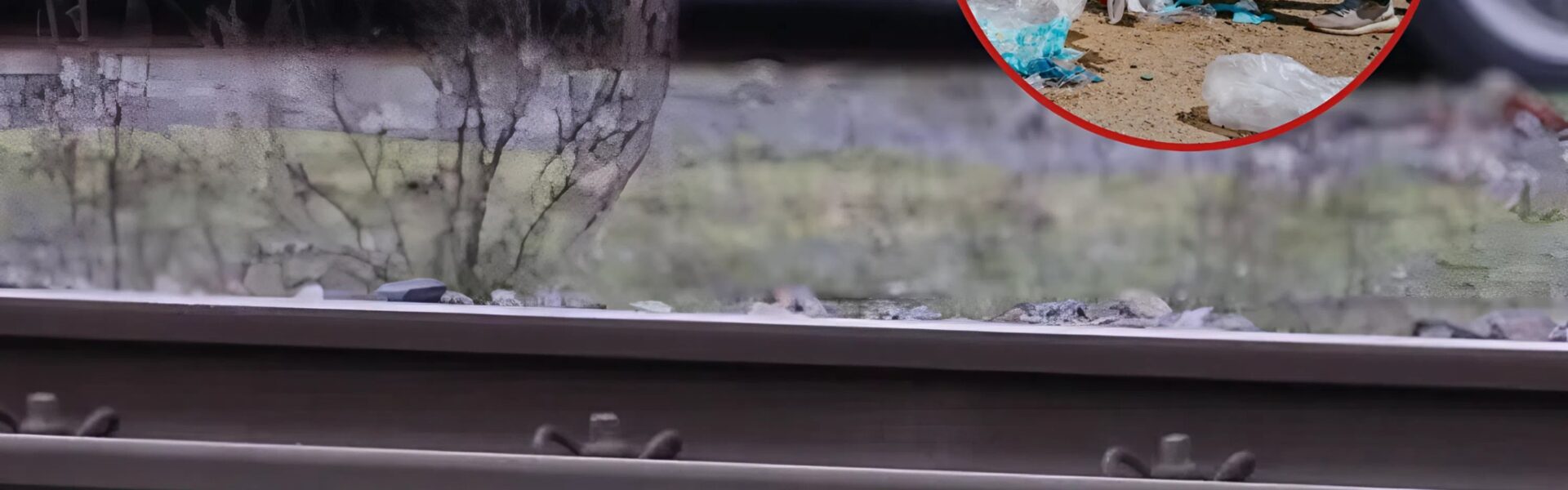 Lebensgefahr auf den Gleisen: Pfandsammler zwingt S-Bahn in Hannover zu Notbremsung