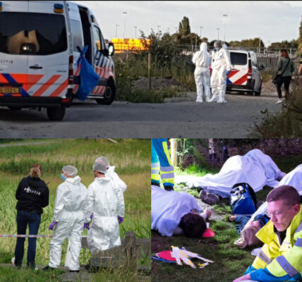 Drie lichamen zijn gevonden op een braakliggend terrein op 1,5 kilometer van het huis van het vermiste gezin. De autoriteiten onderzoeken de zaak en vermoeden dat het om het vermiste gezin gaat.