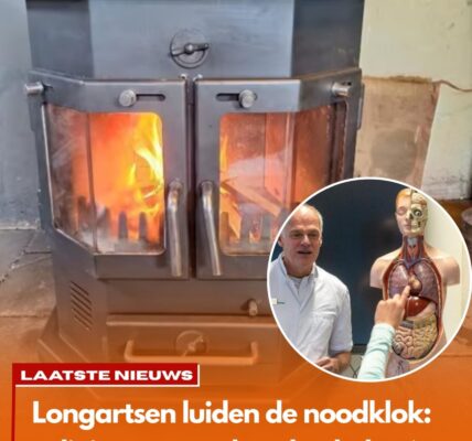 Longartsen luiden de noodklok: dit is waarom houtkachels zó schadelijk zijn
