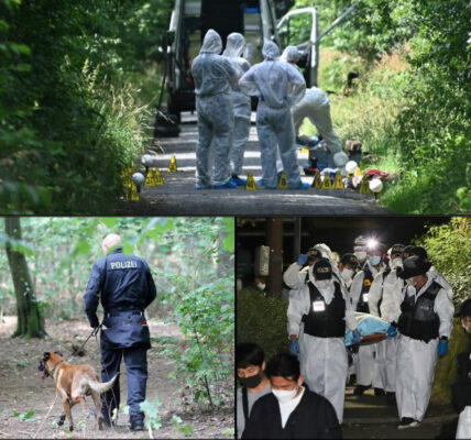 Drei Leichen wurden auf einem unbebauten Grundstuck 1,5 km vom Haus der vermissten Familie entfernt gefunden. Die Behörden ermitteln und vermuten, dass es sich um die vermisste Familie handelt.