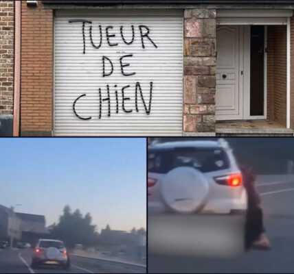 Opschudding na Schokkend Incident: Man die dode hond achter auto meesleepte toch niet vervolgd — Parket ziet geen strafbare schuld