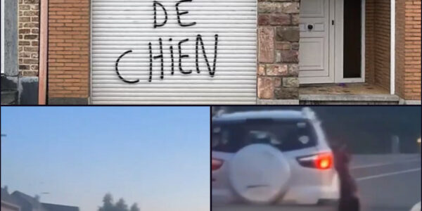 Opschudding na Schokkend Incident: Man die dode hond achter auto meesleepte toch niet vervolgd — Parket ziet geen strafbare schuld