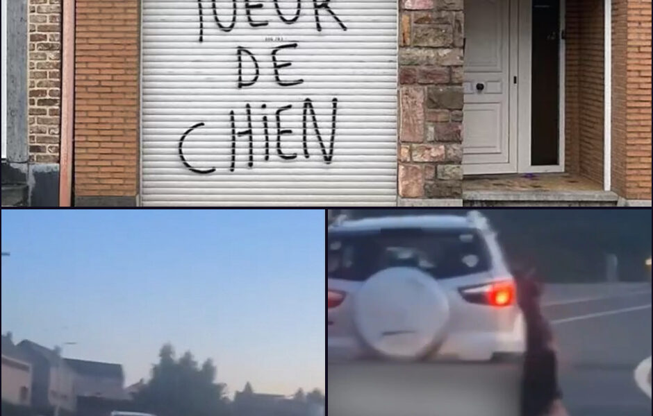 Opschudding na Schokkend Incident: Man die dode hond achter auto meesleepte toch niet vervolgd — Parket ziet geen strafbare schuld