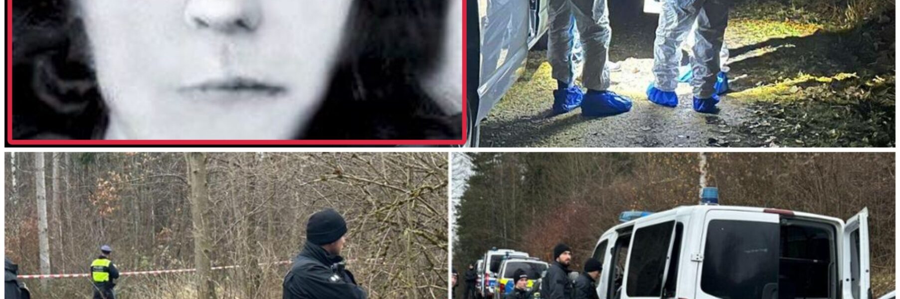 „Tote Frau im Münchner Wald entdeckt – Wer steckt hinter dem mutmaßlichen Gewaltverbrechen?“