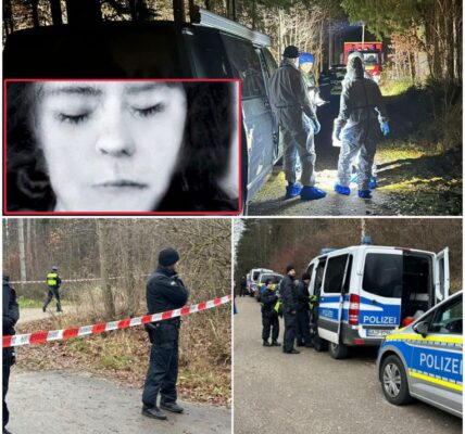 „Tote Frau im Münchner Wald entdeckt – Wer steckt hinter dem mutmaßlichen Gewaltverbrechen?“