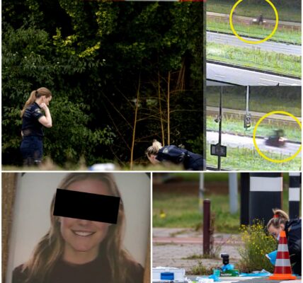 Nieuwe schokkende details in moordzaak rond Lisa (17): noodkreet ‘Help me!’ klinkt door rechtszaal