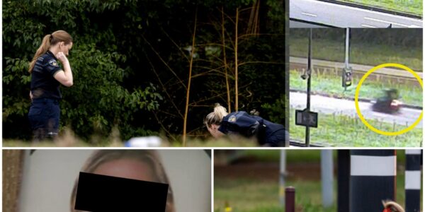 Nieuwe schokkende details in moordzaak rond Lisa (17): noodkreet ‘Help me!’ klinkt door rechtszaal