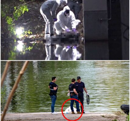 Eine schreckliche Tragödie erschütterte Frankfurt: Fischer entdeckten die Le!ch3 e!nes Neugeb0renen – vermutlich ein Kind, dessen Mutter kurz zuvor im für seine Prostitution bekannten Bahnhofsviertel entbunden hatte. Die Ermittler sprachen von einem entsetzlichen Verbrechen: Das ganze Land trauerte um das Kind.