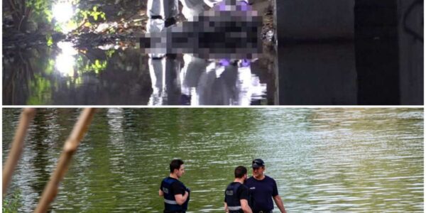 Eine schreckliche Tragödie erschütterte Frankfurt: Fischer entdeckten die Le!ch3 e!nes Neugeb0renen – vermutlich ein Kind, dessen Mutter kurz zuvor im für seine Prostitution bekannten Bahnhofsviertel entbunden hatte. Die Ermittler sprachen von einem entsetzlichen Verbrechen: Das ganze Land trauerte um das Kind.