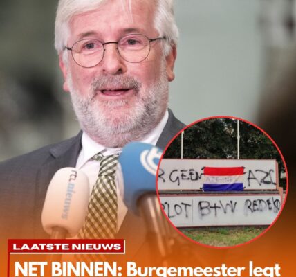 Burgemeester legt functie neer om besluit rond azc