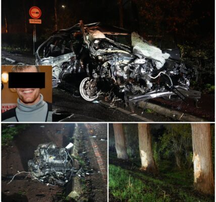 Man (28) zwaargewond na harde crash tegen boom tijdens politieachtervolging in Oosterhout