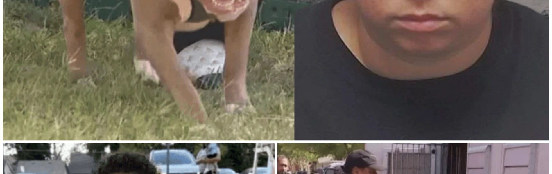 Babysitter aangeklaagd voor drie misdrijven na dodelijke hondenaanval op éénjarig kind