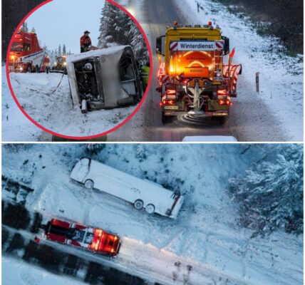 „Schweres Busunglück in Schweden: Was geschah wirklich auf der verschneiten E45?“