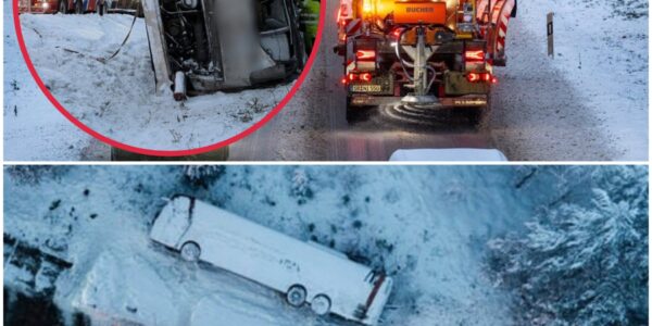 „Schweres Busunglück in Schweden: Was geschah wirklich auf der verschneiten E45?“