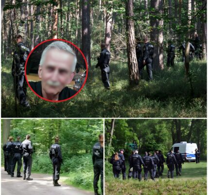 TODESGEFAHR DURCH KÄLTE: 68-Jähriger Flieht Aus Einrichtung In Schneenacht! Das Geheimnis Der Schnürsenkellosen Schuhe Und Die Tödliche Odyssee!