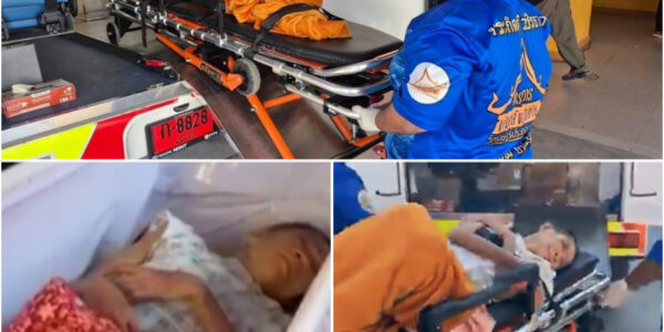 Schokkend in Crematorium: ’Dode’ Vrouw (65) Blijkt Nog te Leven – Medewerkers Horen Minutenlang Gebonk uit de Kist