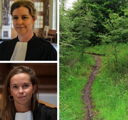 GERECHTIGHEID & DE WAARHEID: 14-jarig meisje 3 DAGEN OP RIJ MISBRUIKT in het "Kabouterbos" – en de schokkende ware rol van haar vriendje!