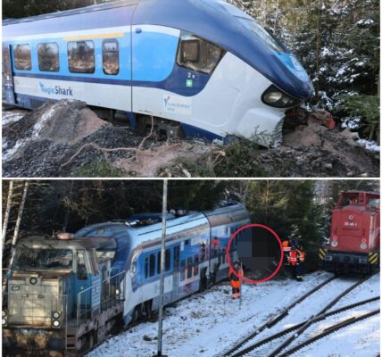 🚨 Dramatischer Zugunfall in Johanngeorgenstadt: Tschechischer Zug entgleist nach Signalverstoß