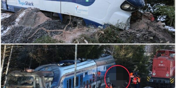 🚨 Dramatischer Zugunfall in Johanngeorgenstadt: Tschechischer Zug entgleist nach Signalverstoß