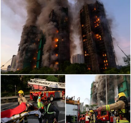 DE VLOEK VAN BAMBOE: Traditioneel Bouwmateriaal Verandert In Vernietiger! De Angstaanjagende Waarheid Over De Vlammenzee Die Om 15 Uur Uitbrak!