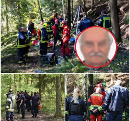MYSTERIUM BODENSEE: 75-Jähriger Spurlos Nach Abfahrt Verschwunden – Das Verschlossene Auto Auf Dem Parkplatz Verbígt Eine Schreckliche Wahrheit!