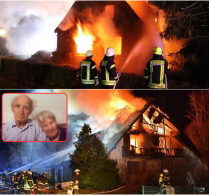 Das Haus eines älteren Ehepaares in Frankfurt geriet in Brand, und die beiden starben später. Die Polizei geht von Brandstiftung aus, und Zeugenaussagen bringen nach und nach mehr Licht in den Fall.