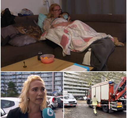 REBELLIE VAN DE BEWONERS: IJmuiden Weigert Huur Te Betalen Vanwege 14 Graden Kou – Woonbedrijf Velsen Verbergt Een Onacceptabele Waarheid, Namelijk...