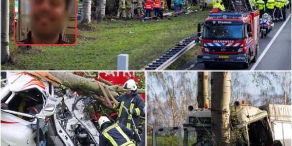Dodelijk Drama in Amsterdam: Bestuurder Komt Om na Wanhopige Uitwijkmanoeuvre voor Voetganger