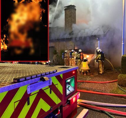 Zware brand bij woning van koppel tachtigers in Waregem: twee bewoners overleden