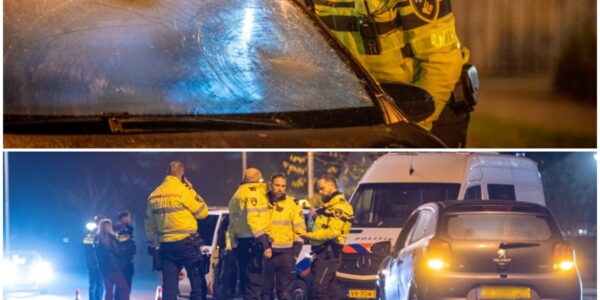 36-jarige vrouw levensgevaarlijk gewond na aanrijding op zebrapad in Papendrecht: hulpdiensten massaal aanwezig, automobilist aangehouden