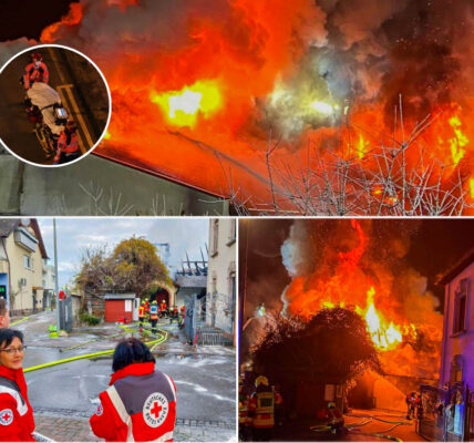 A peaceful vineyard morning turned into chaos—what sparked the massive blaze that drew over 100 responders?