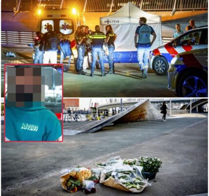 Instanties verloren verdachte van fatale steekpartij Erasmusbrug uit het oog