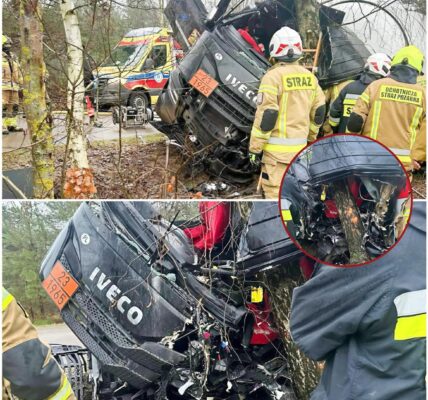 Schock in Osteuropa: Tanklaster prallt frontal gegen Baum – Fahrer überlebt schwer verletzt
