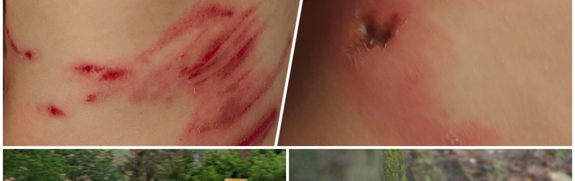 VIDEO: Vierjähriges Kind verschwindet spurlos – nächtliche Kamerabilder zeigen erschutternde Szene mit umherstreifendem Wolf