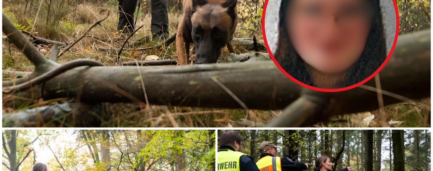 AKTE HILFLOSIGKEIT: Polizei Verzweifelt Auf Spurensuche Nach Neele – Die Schreckliche Wahrheit Hinter Dem Fundort Wurde Enthüllt...
