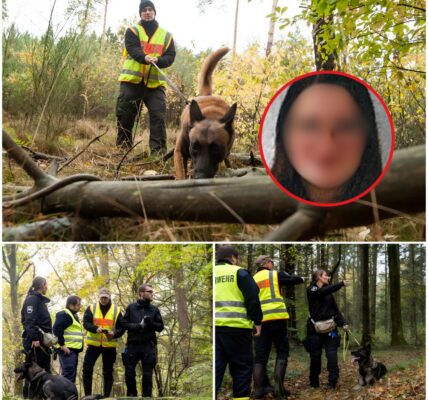 AKTE HILFLOSIGKEIT: Polizei Verzweifelt Auf Spurensuche Nach Neele – Die Schreckliche Wahrheit Hinter Dem Fundort Wurde Enthüllt...