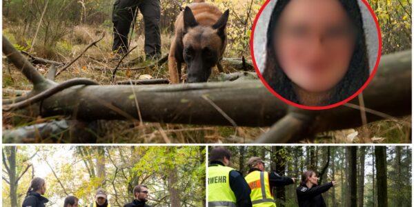 AKTE HILFLOSIGKEIT: Polizei Verzweifelt Auf Spurensuche Nach Neele – Die Schreckliche Wahrheit Hinter Dem Fundort Wurde Enthüllt...