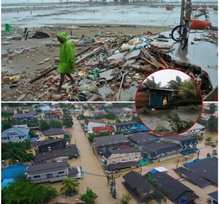 Zyklon „Ditwah“ verwüstet Sri Lanka – mindestens 56 Tote, Tausende auf der Flucht